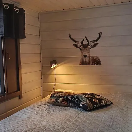 Vuosselintaehti 8 B Apartamento