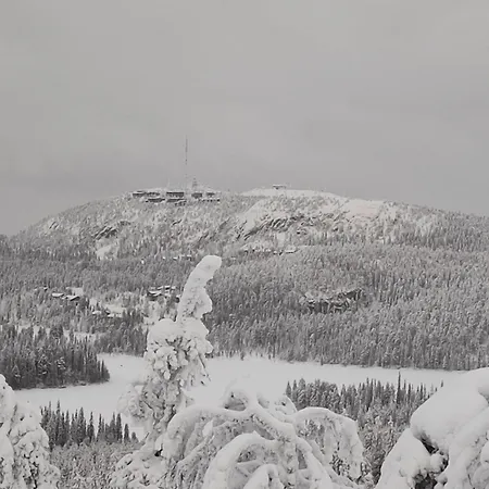 Vuosselintaehti 8 B * Ruka