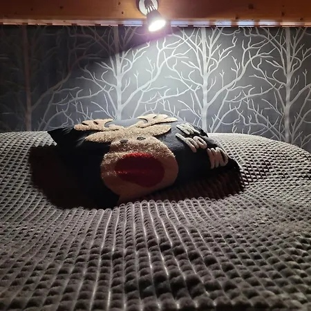 Vuosselintaehti 8 B דירה רוקה