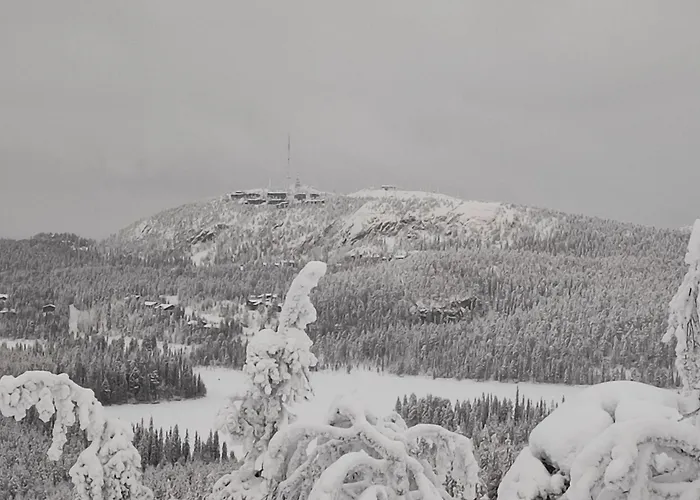 Vuosselintaehti 8 B * Ruka